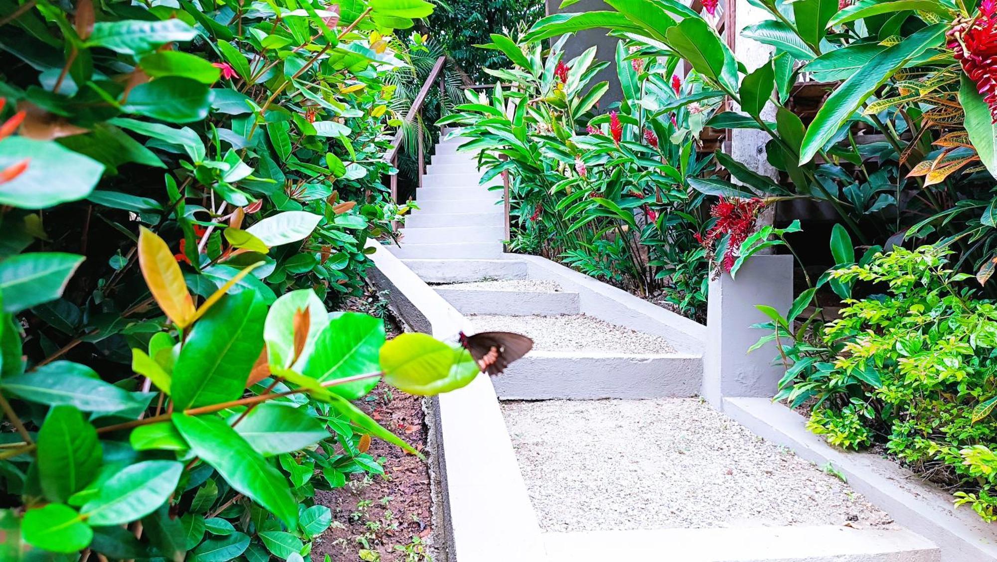Hotel Isabella Tayrona Los Naranjos Exteriér fotografie