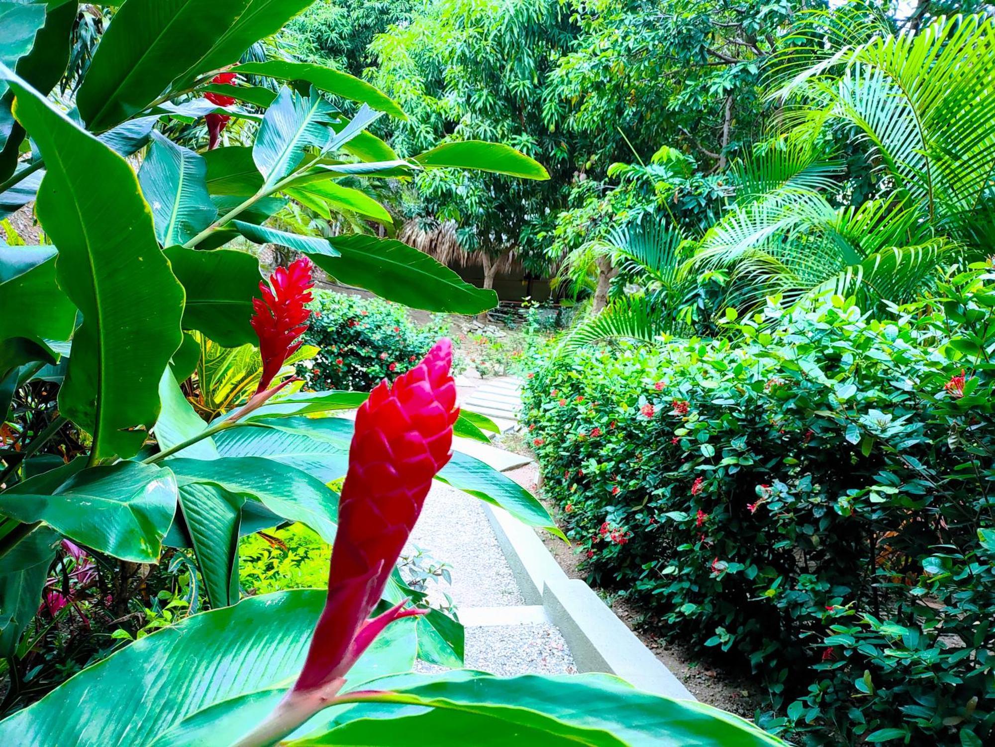 Hotel Isabella Tayrona Los Naranjos Exteriér fotografie